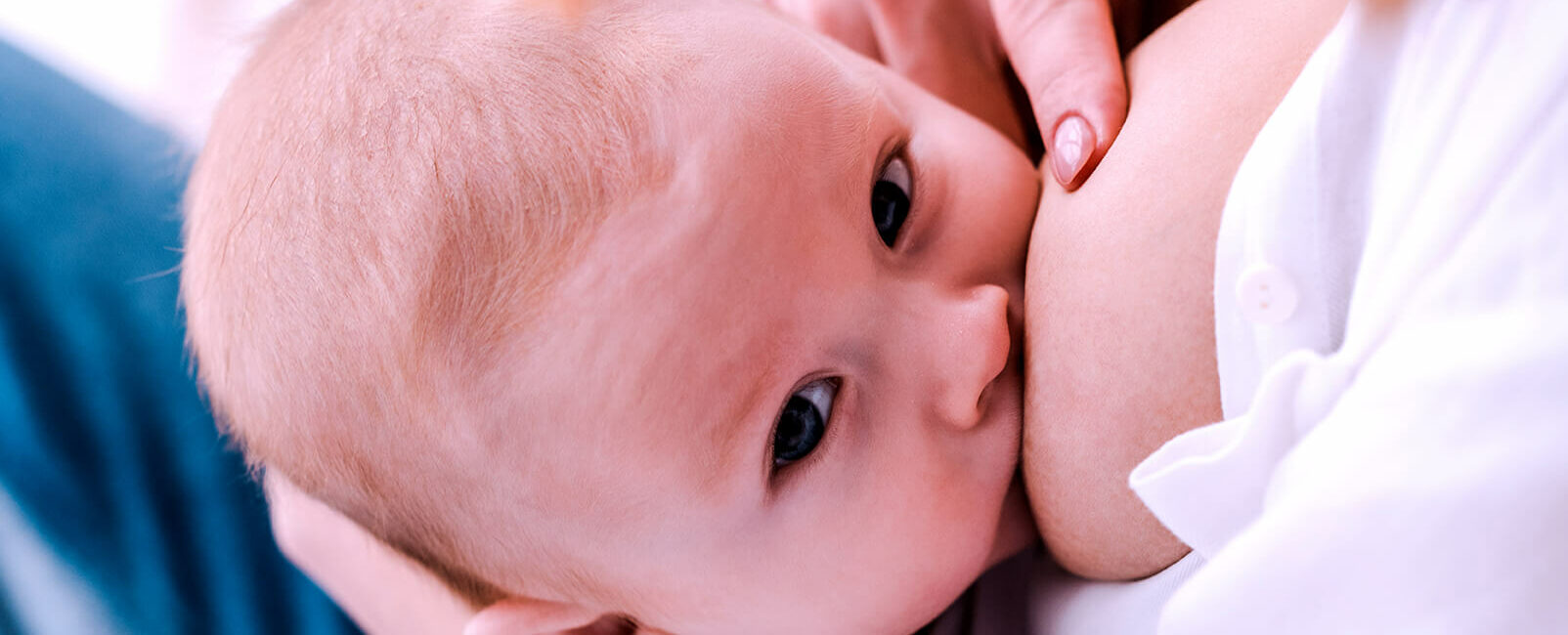 Dieta dimagrante in allattamento, gli alimenti indicati