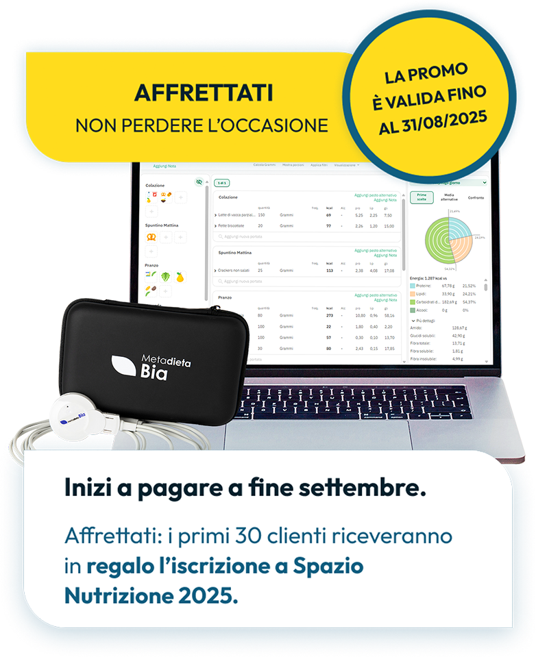 metadieta-studio-summer-mobile-new