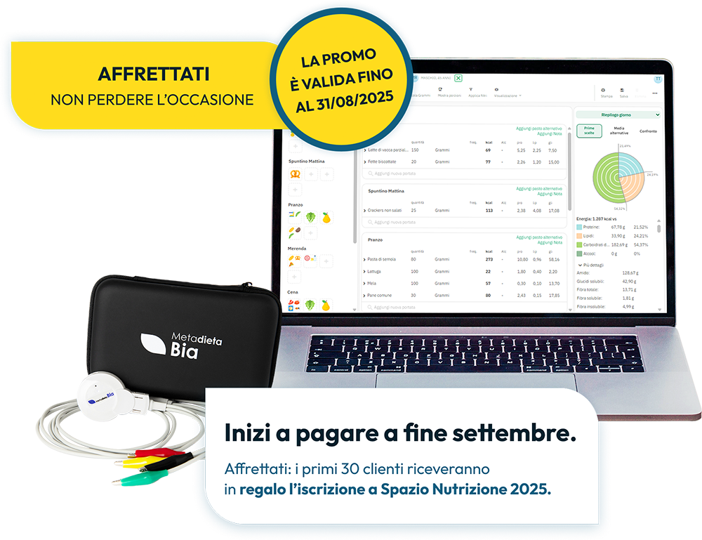 metadieta-studio-summer-new